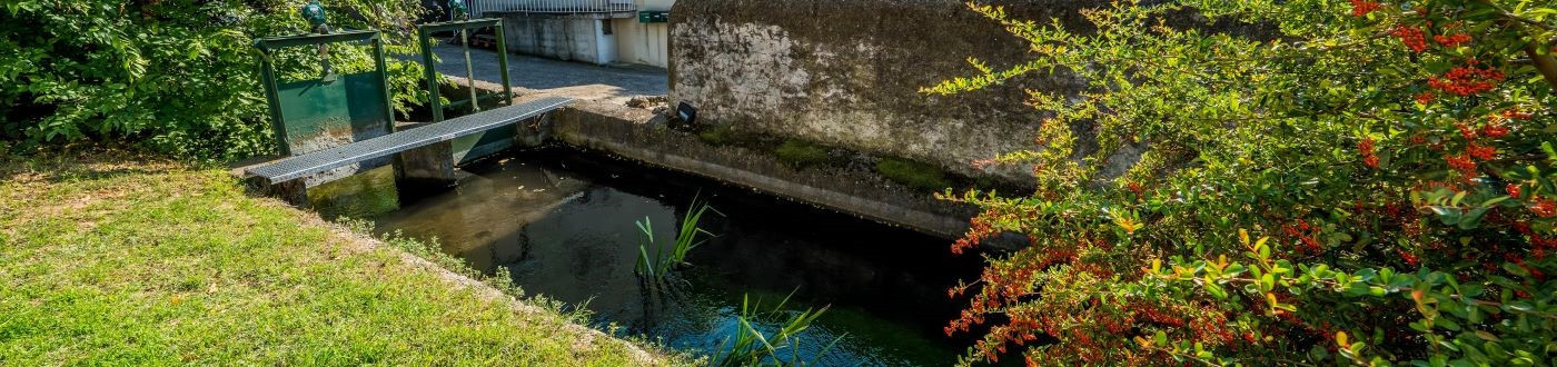 Bouquets de fleurs à Valence | Créations florales sur mesure – Aloès Fleuriste