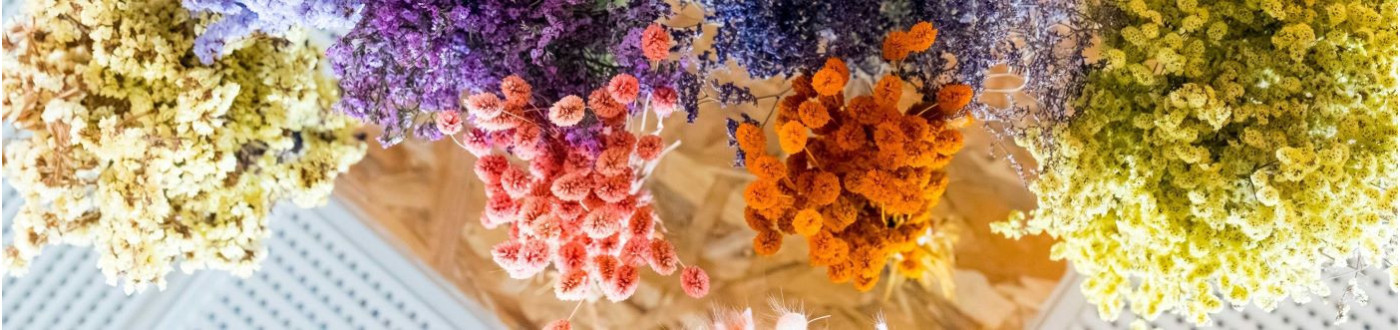 Fleurs séchées à Valence | Bouquets durables & créations intemporelles – Aloès Fleuriste